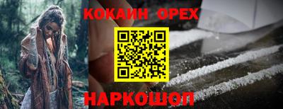 Альфа ПВП Магадан