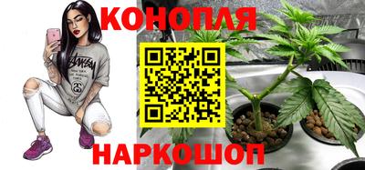 Альфа ПВП Магадан