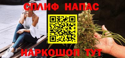 Альфа ПВП Магадан